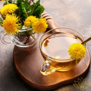 Dandelion Origin