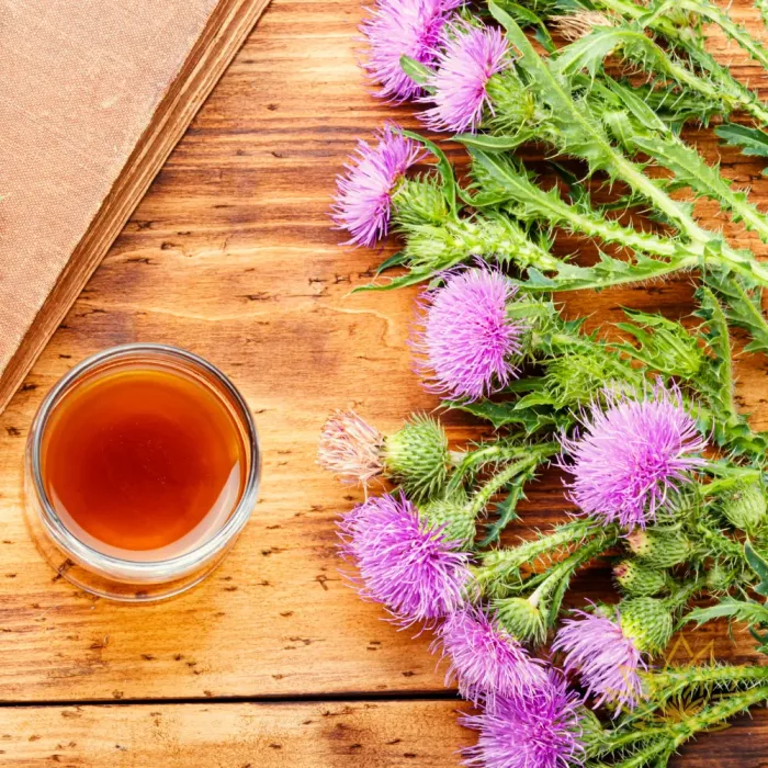 Milk Thistle Origin
