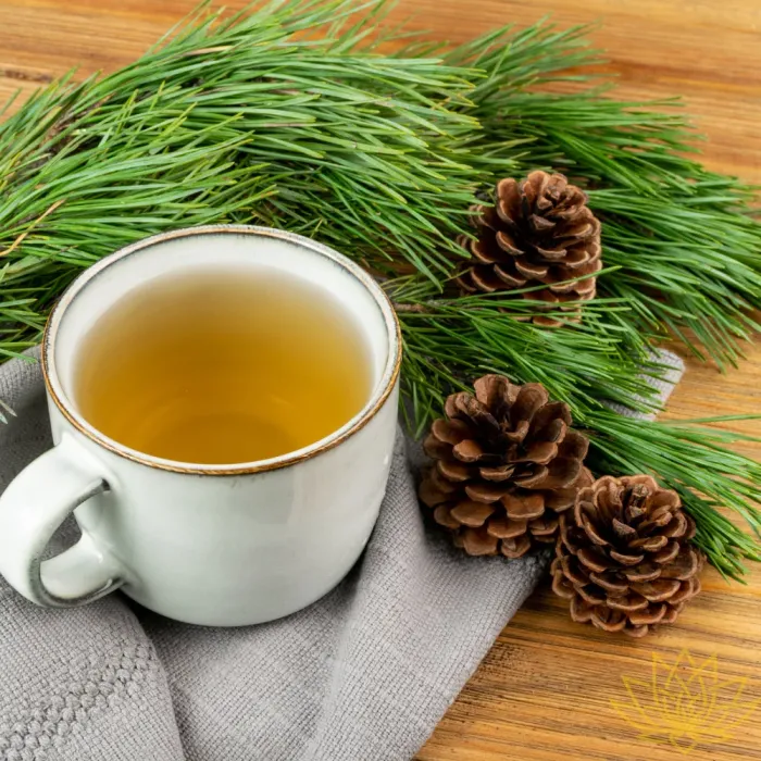 Pine Needle Origin