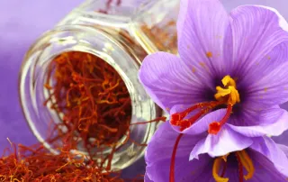 Experience Persian Gold | Top Health-Boosting Advantages of Saffron Revealed 6 Saffron Blog